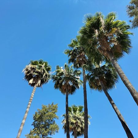 Vas Malaga Ciudad Otel Dış mekan fotoğraf