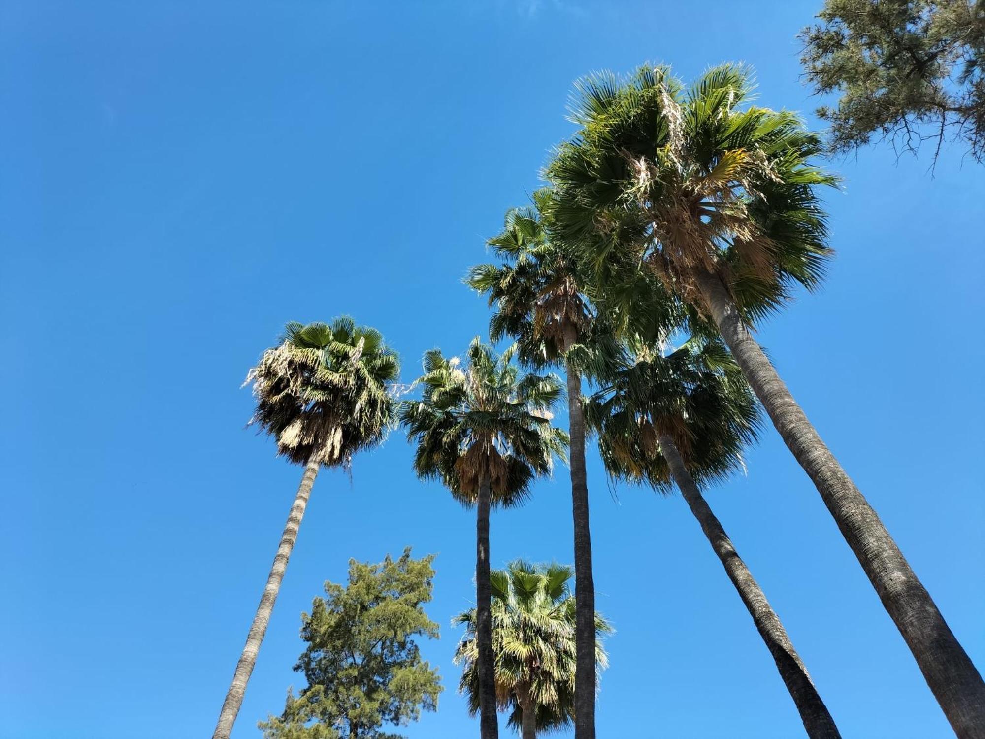 Vas Malaga Ciudad Otel Dış mekan fotoğraf